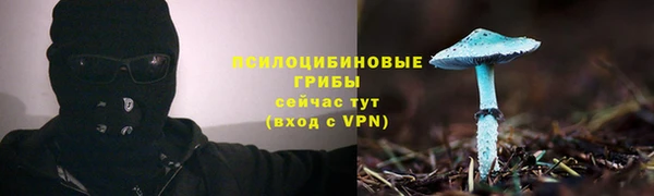 2c-b Няндома