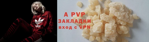 эйфоретик Богданович