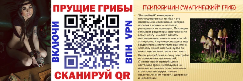 Псилоцибиновые грибы мухоморы  kraken зеркало  Змеиногорск  продажа наркотиков 