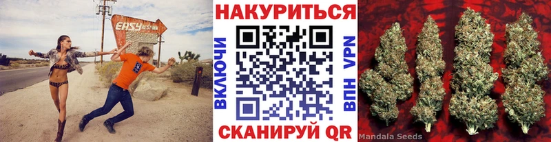 купить наркотик  Змеиногорск  Бошки Шишки Amnesia 